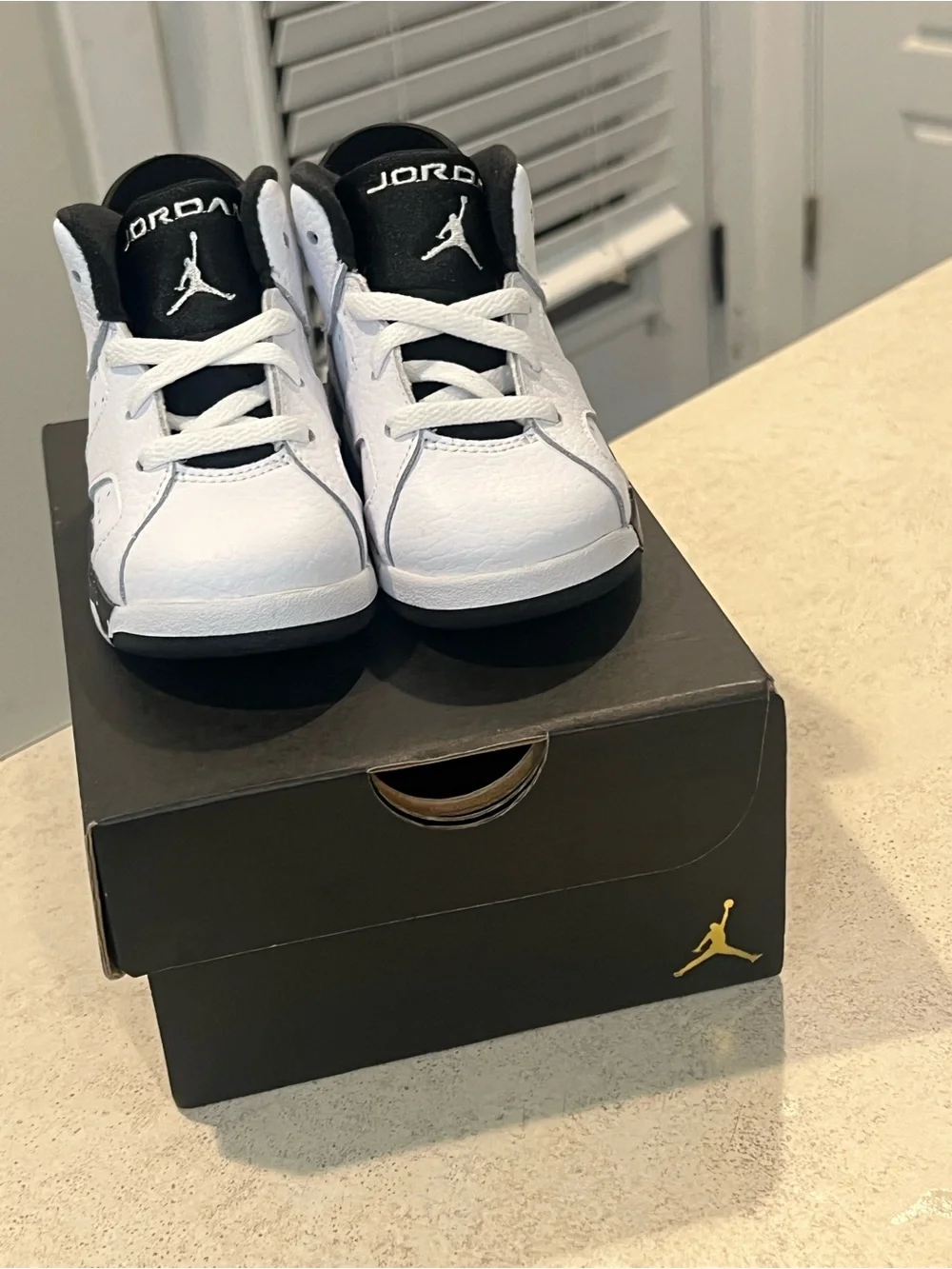 Air Jordan 6 Retro 